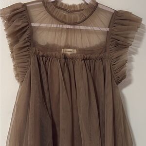 Eesome Sheer Brown Blouse